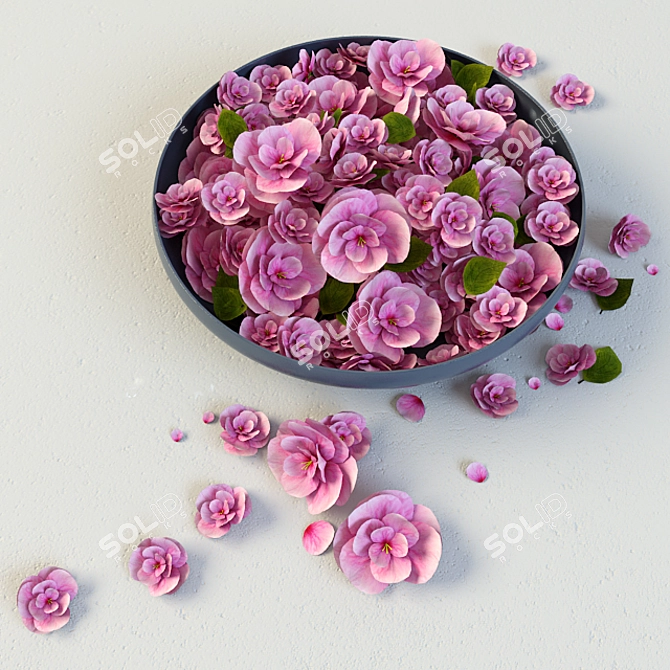 Dish Blooms: Floral Decor for Every Space! 3D model image 3