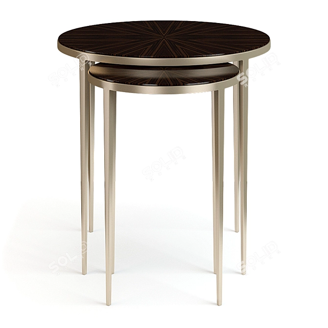 Christopher Guy 2014 76-0229: Stylish Nickel Plate/Madagascar Ebony Side Table 3D model image 1