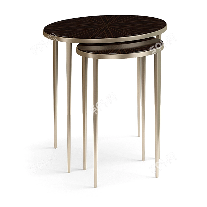 Christopher Guy 2014 76-0229: Stylish Nickel Plate/Madagascar Ebony Side Table 3D model image 2