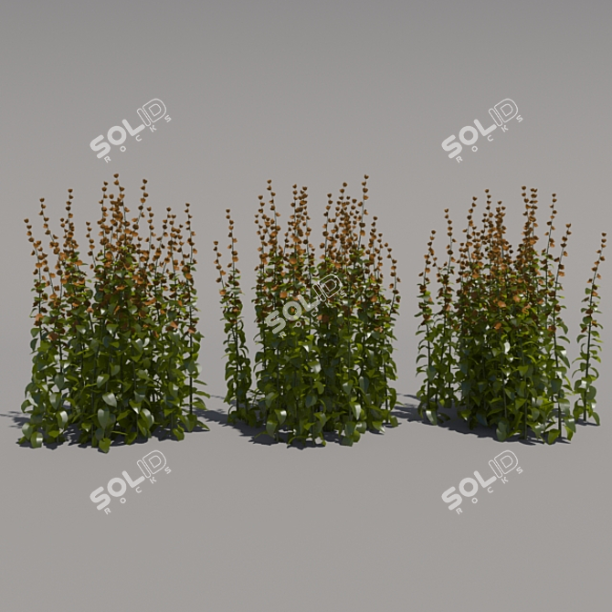 Tall Third Generation Flowers 3D model image 1