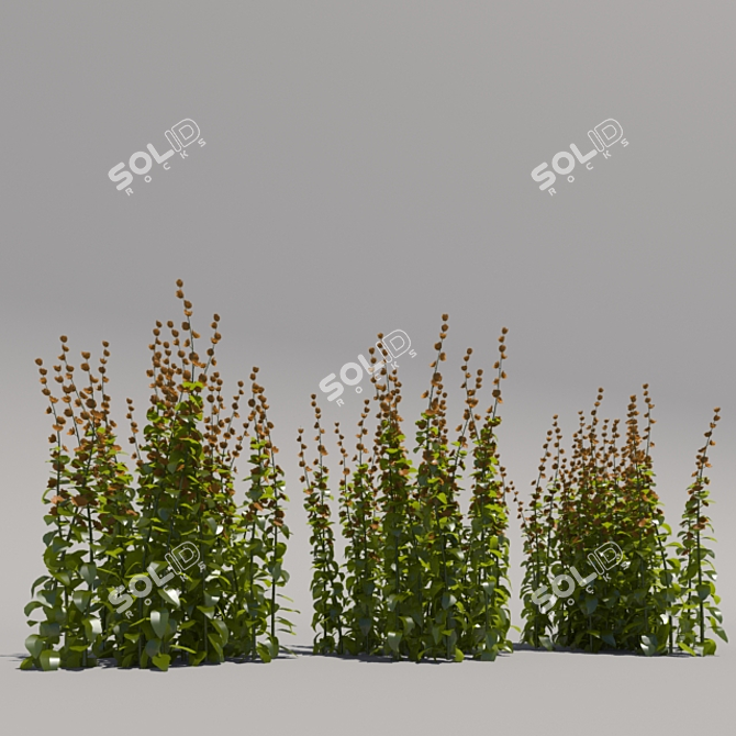 Tall Third Generation Flowers 3D model image 2