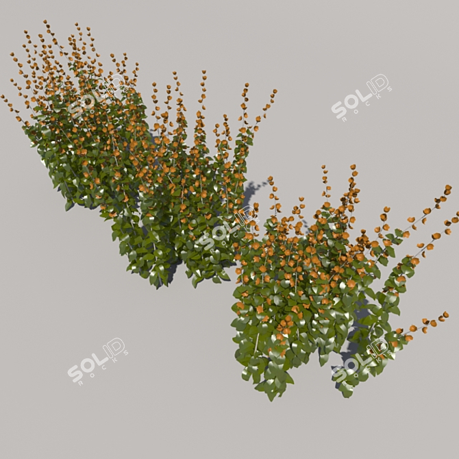 Tall Third Generation Flowers 3D model image 3