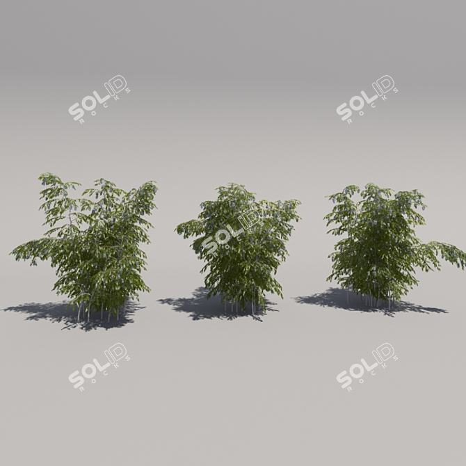 Blooming Bush Trio 3D model image 1