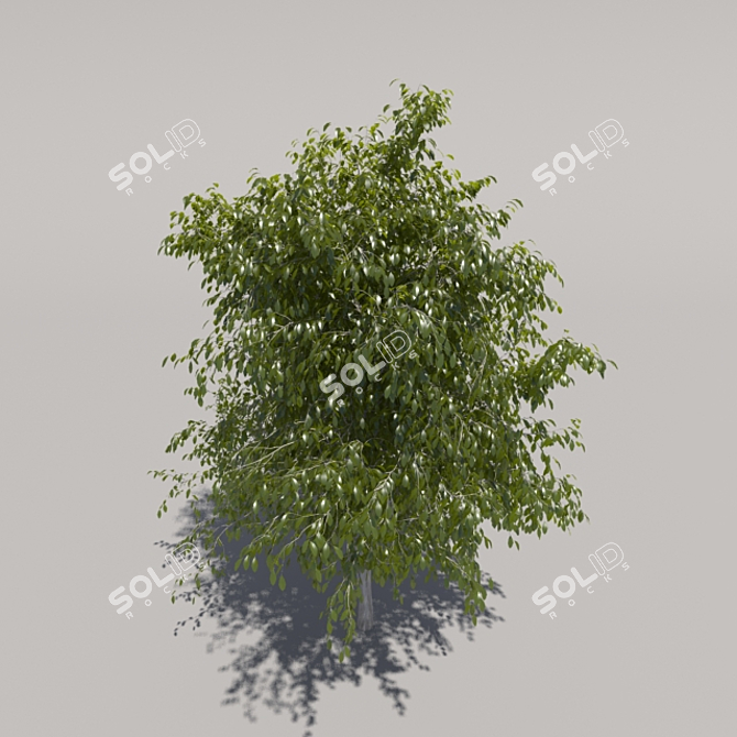 Title: Grand Geometric Foliage Tree 3D model image 3