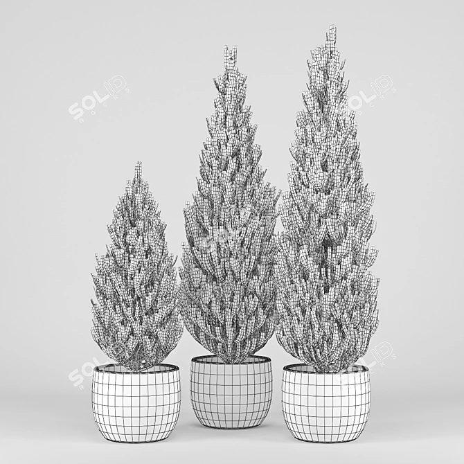 Realistic Thuja Tree 3D Model 3D model image 2