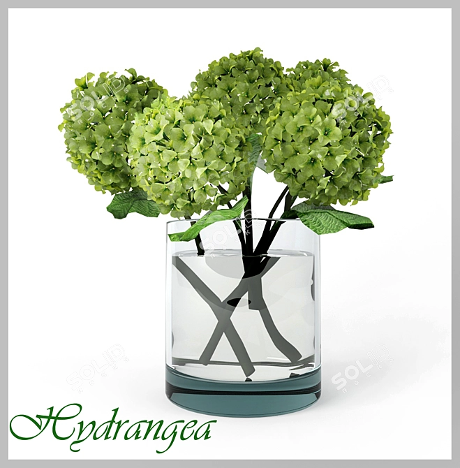 Elegant Hydrangea Bouquet 3D model image 1