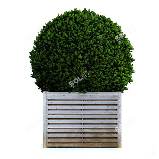 Round Bush 3D Model 3D model image 1