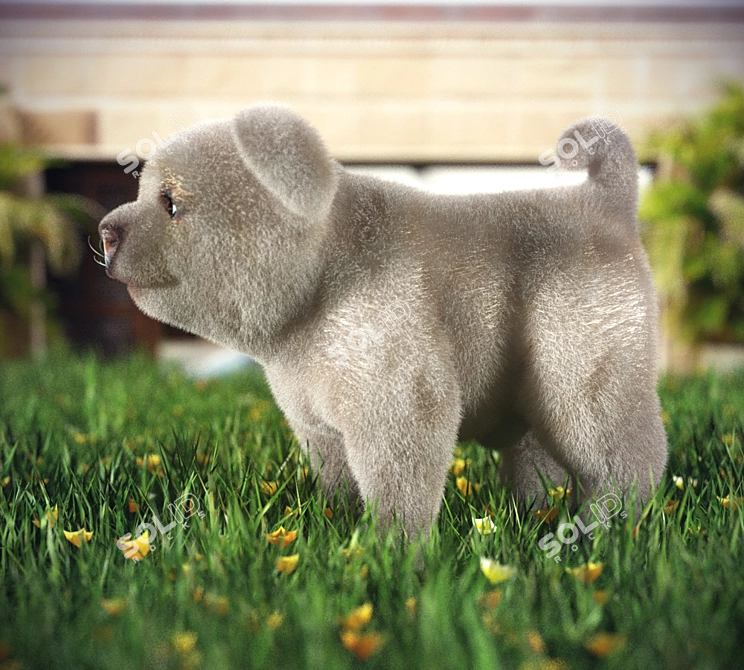 Adorable Pet Dog: 3D Max2011 3D model image 1