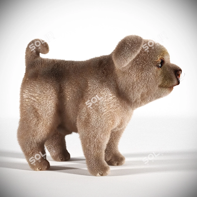 Adorable Pet Dog: 3D Max2011 3D model image 2