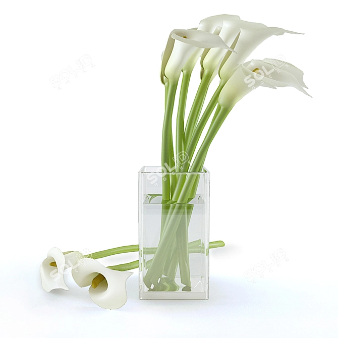 Elegant Calla Lily Bouquet 3D model image 1