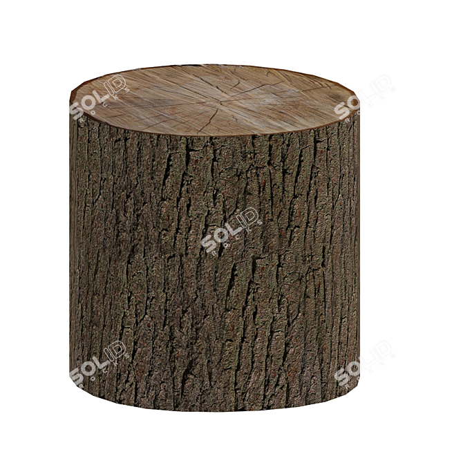 Rustic Oak Stump 3D model image 1