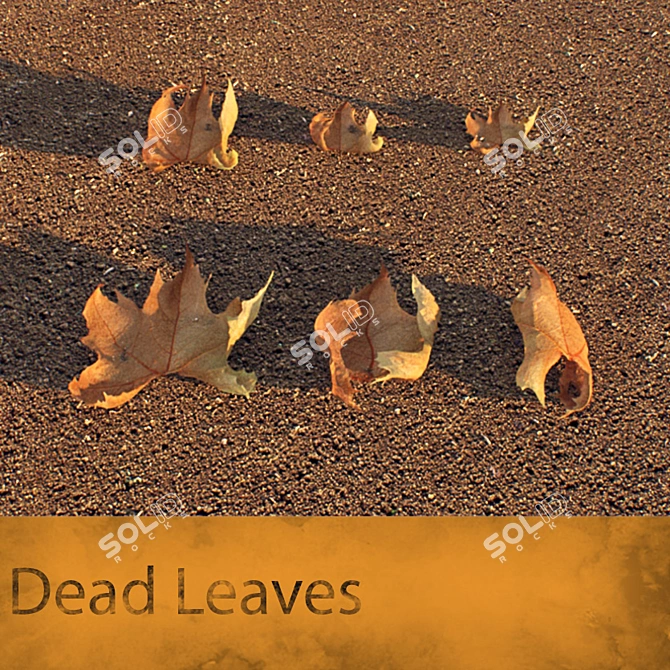 Autumn Elegance: Dead Leaves 3D model image 3