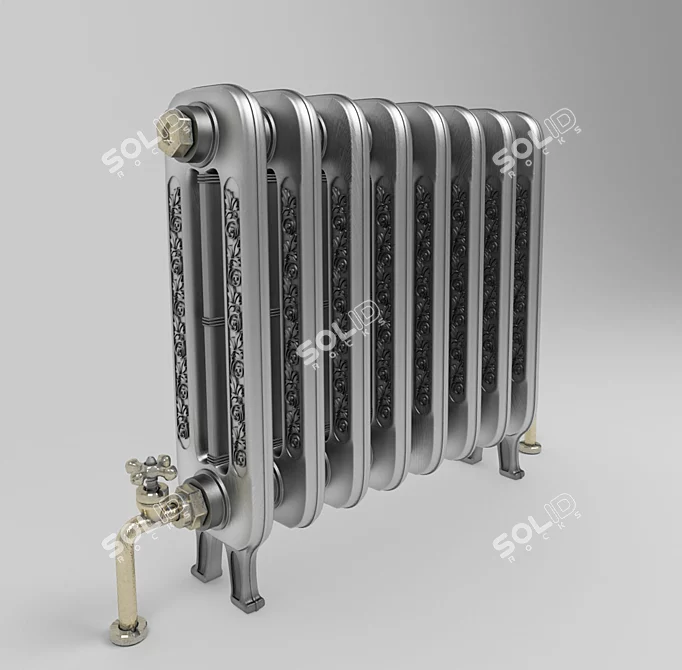 Cast Iron Radiator with Brass Pipes 3D model image 1