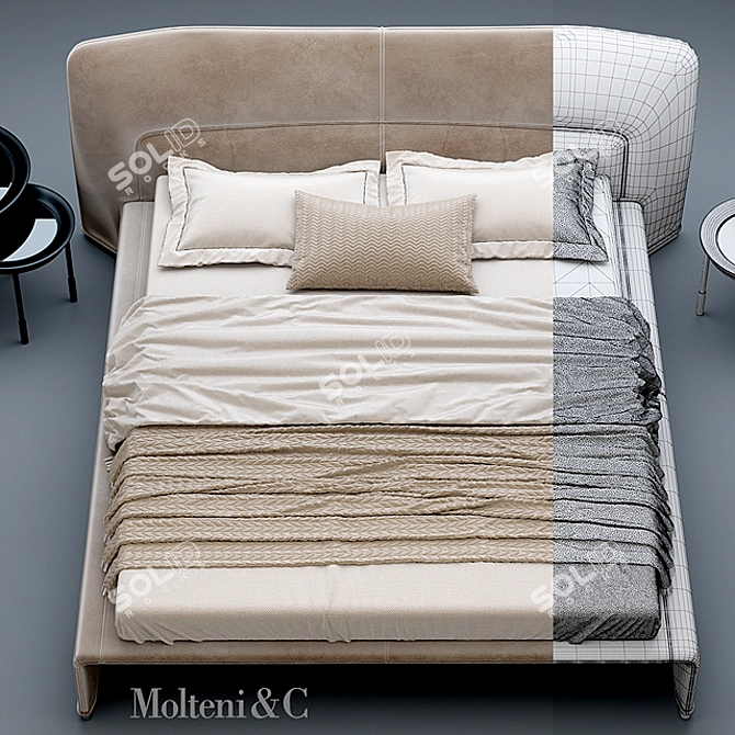 Luxury Comfort Bed: Molteni & C 3D model image 3