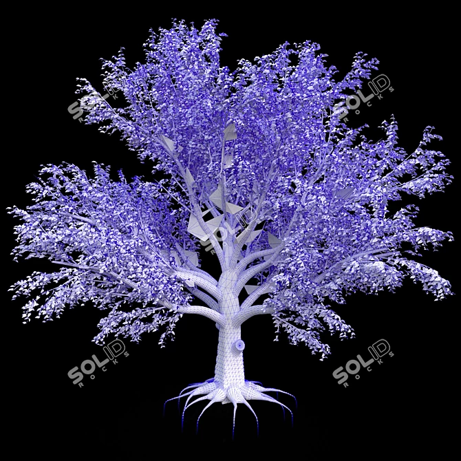 Large Leaf Beech Tree 3D Model 3D model image 2