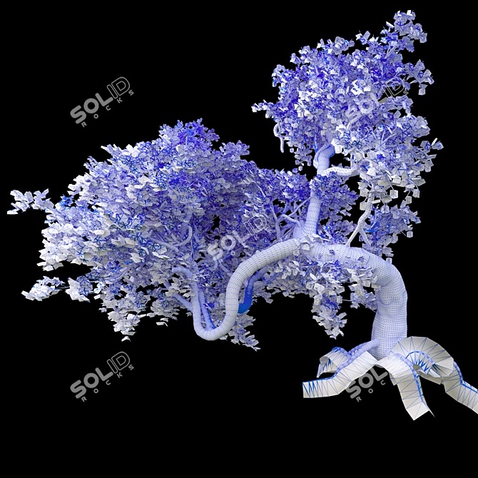 Maple Tree: High-Poly 3D Model 3D model image 2