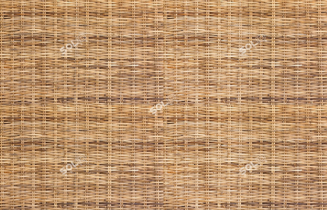 Natural Rattan Texture 3D model image 1