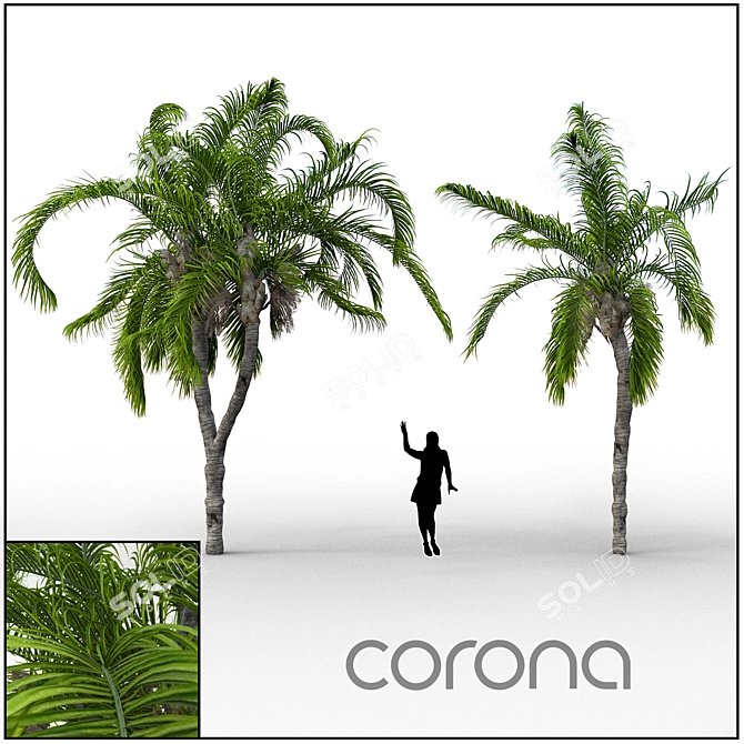 Tropical Paradise Palm 3D model image 1