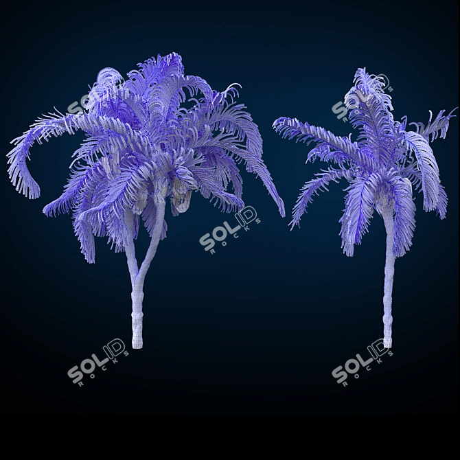 Tropical Paradise Palm 3D model image 2