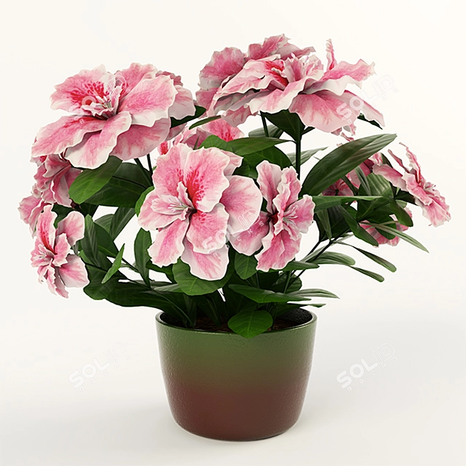 Azalea Flower Vase 3D model image 2