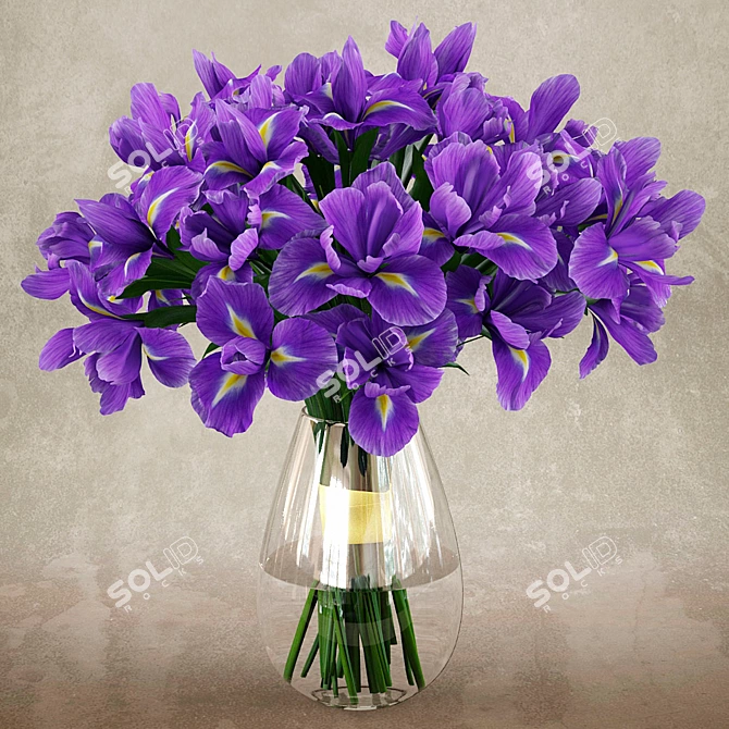 Vray Irises 3D Model 3D model image 1