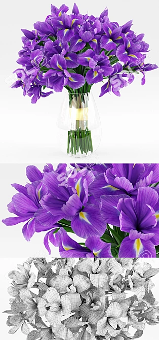 Vray Irises 3D Model 3D model image 3