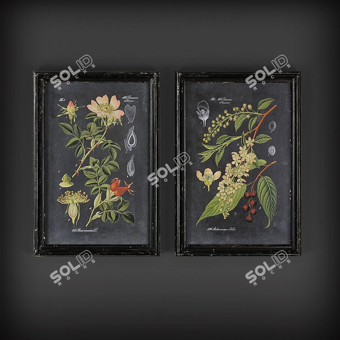 Classic Floral Art Collection 3D model image 1