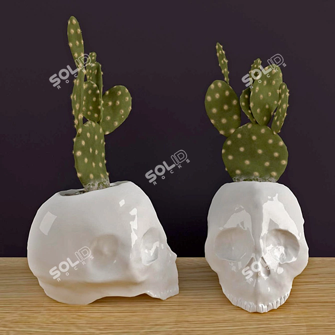 Ceramic Skull Cactus Planter 3D model image 1