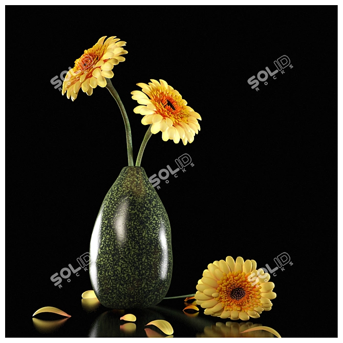 Sunny Dew Gerbera 3D model image 1