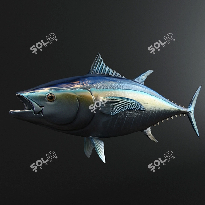 3D Tuna Fish Model 3D model image 1