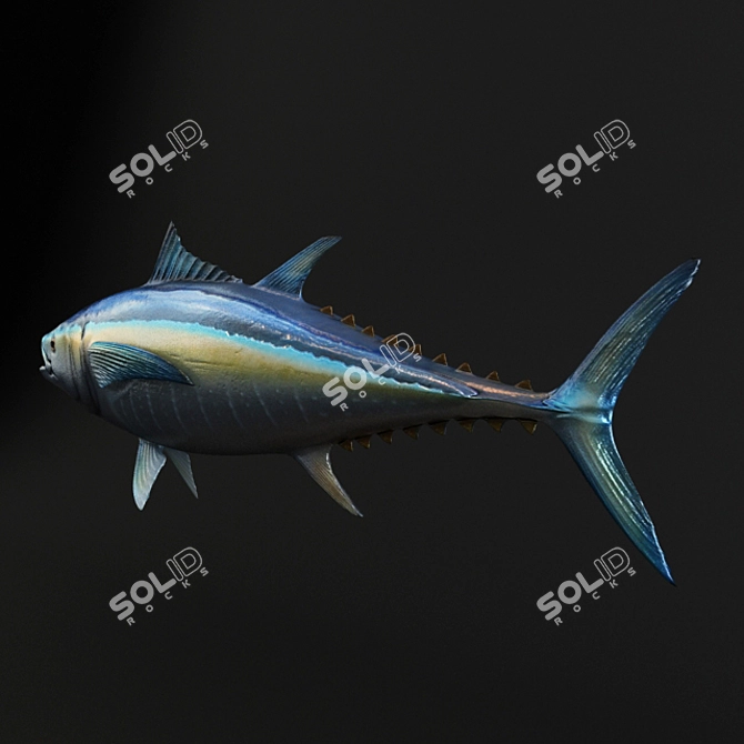 3D Tuna Fish Model 3D model image 2