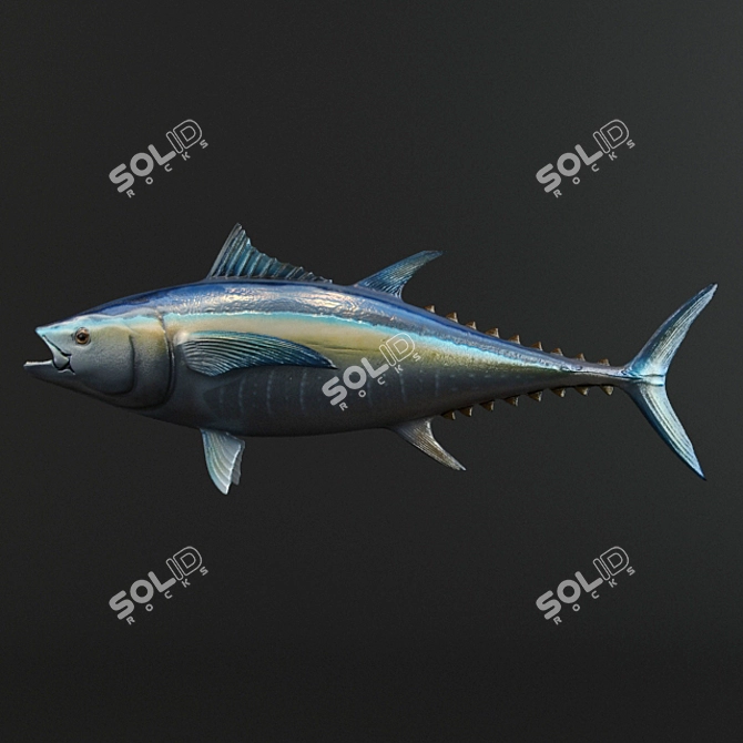 3D Tuna Fish Model 3D model image 3