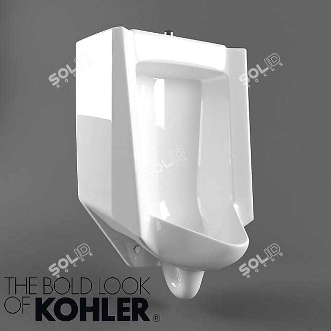 Kohler Bardon Urinal 3D model image 1