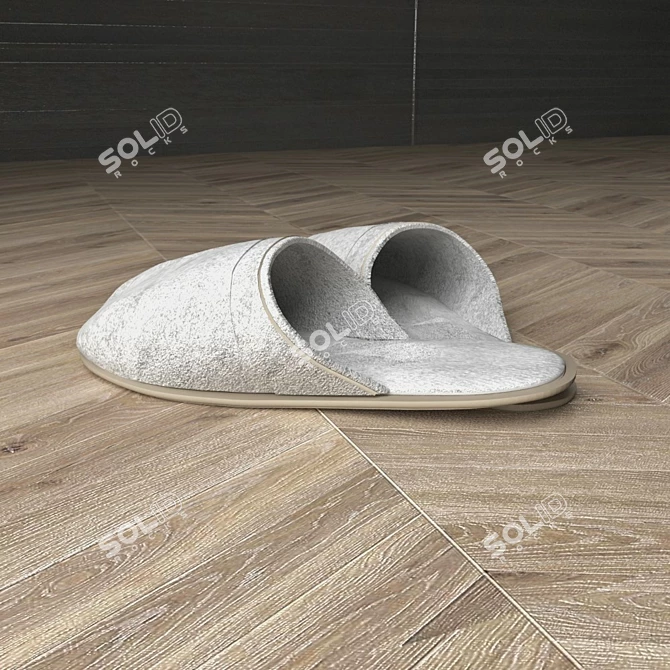 Cozy Woolen Slippers 3D model image 2