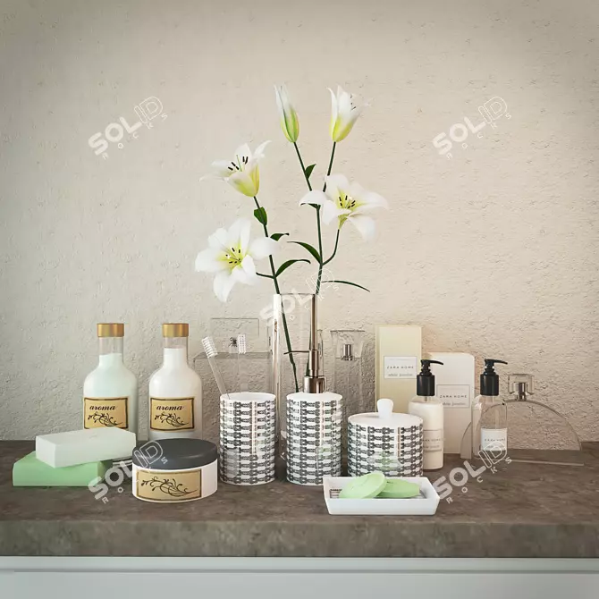 Silver Transfer Bathroom Set 3D model image 1