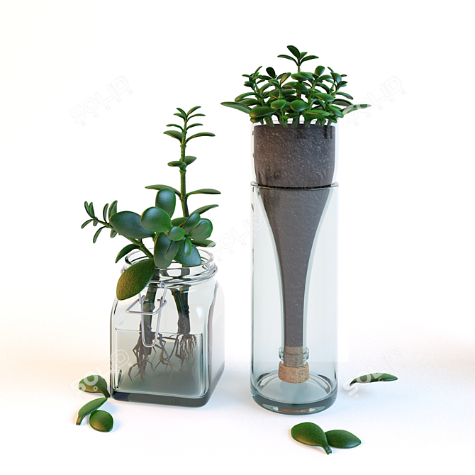 Glass Jar Money Tree 3D model image 1