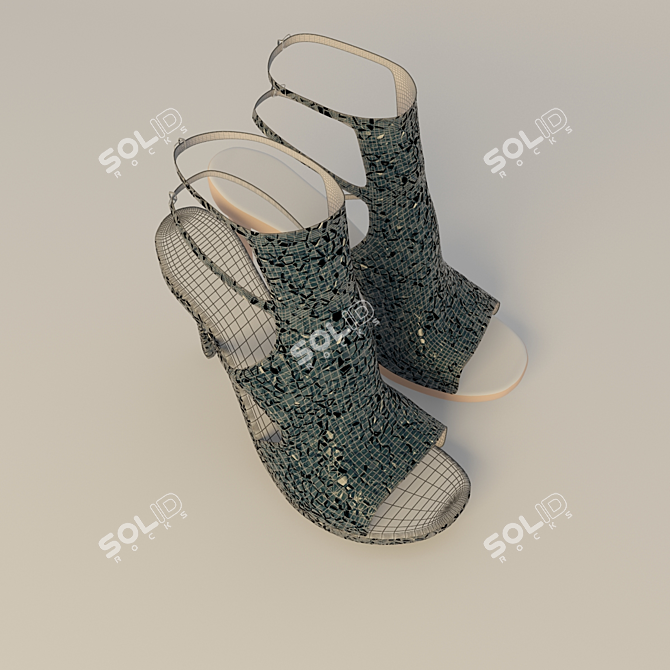 Elegant Women's Footwear 3D model image 3