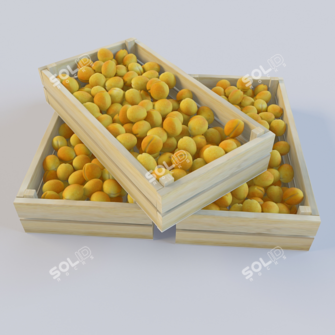  Fresh Apricots from Russia 3D model image 1