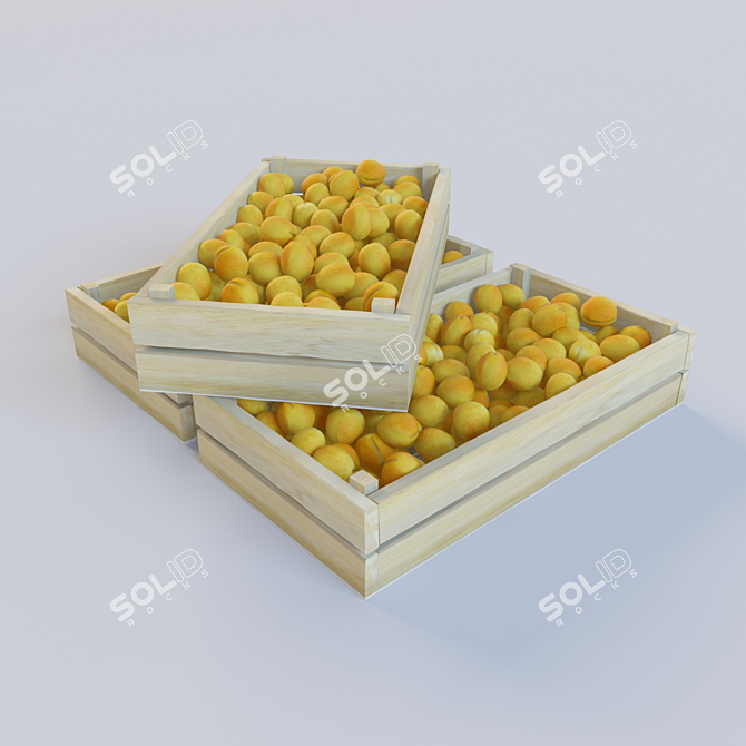  Fresh Apricots from Russia 3D model image 3