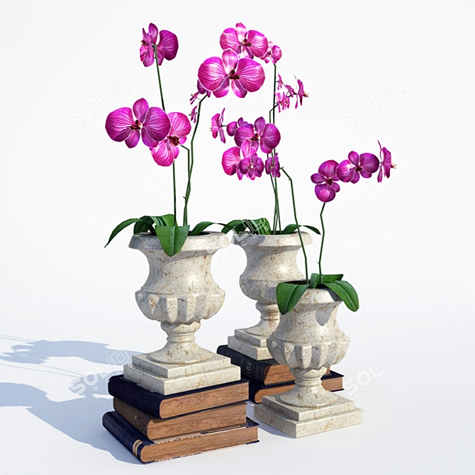 Elegant Orchid Vases 3D model image 1