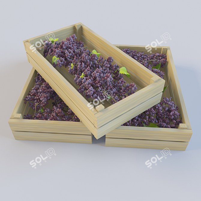 Vibrant Polygon Grapes 3D model image 3