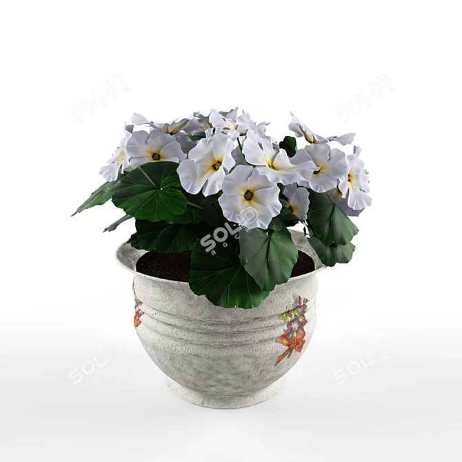 Blooming Geranium in a Pot 3D model image 2