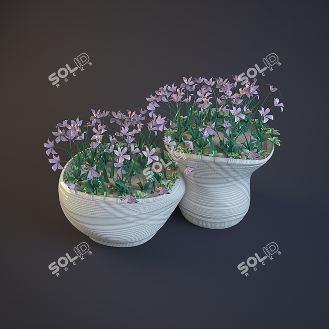 Beautiful Flower Beds for Your Garden 3D model image 1