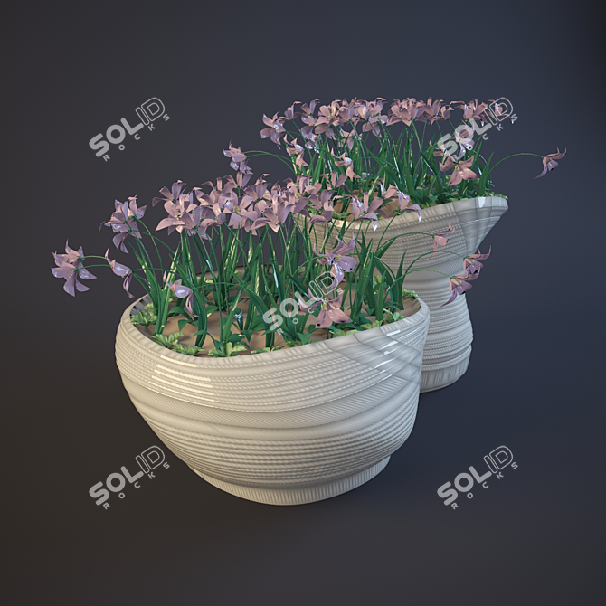 Beautiful Flower Beds for Your Garden 3D model image 3