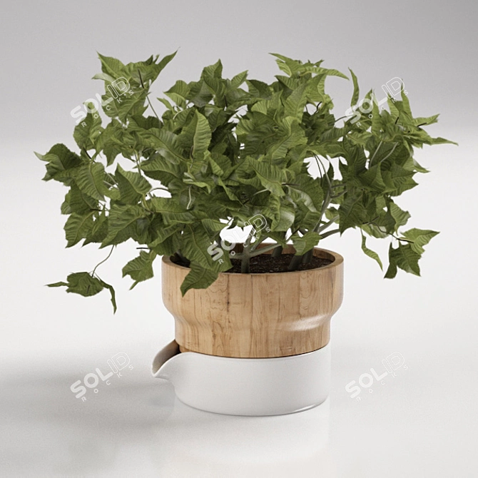 Refreshing Mint Pot: Sagaform's Perfect Herbal Companion 3D model image 1
