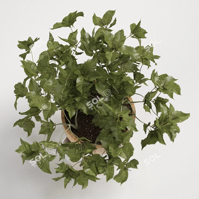 Refreshing Mint Pot: Sagaform's Perfect Herbal Companion 3D model image 2