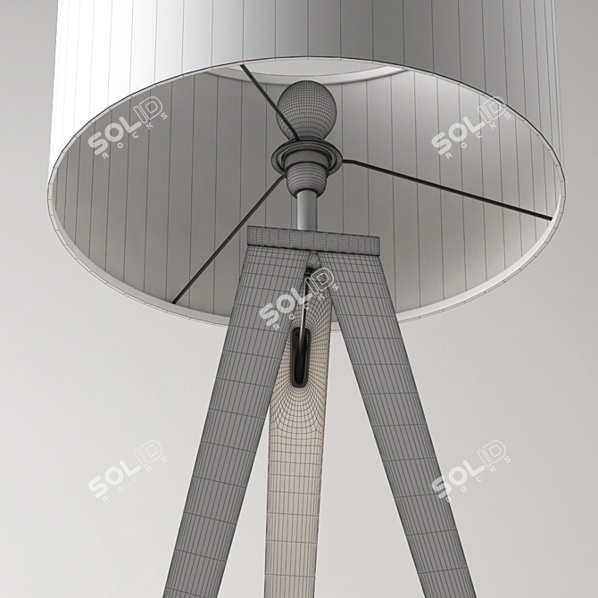 Modern Wood Tripod Floor Lamp 3D model image 3