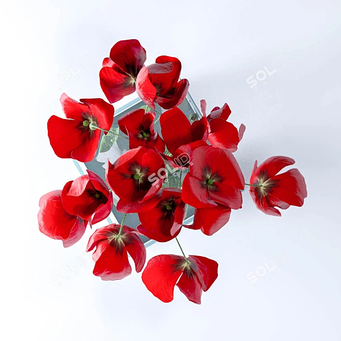 Vibrant Poppies Render: Corona & V-ray | Multiple Formats 3D model image 2