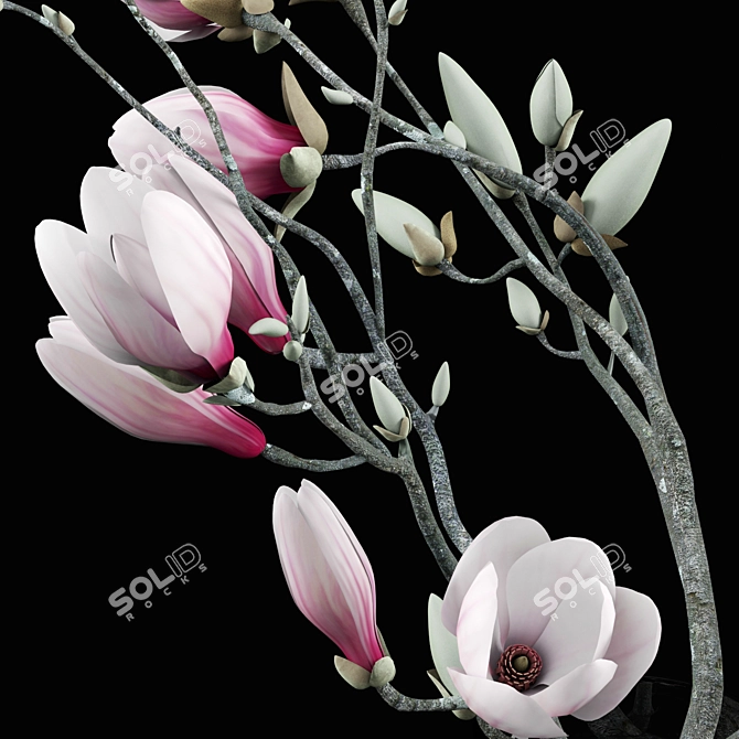 Elegant Magnolia Bouquet - Lifelike Floral Arrangement 3D model image 2