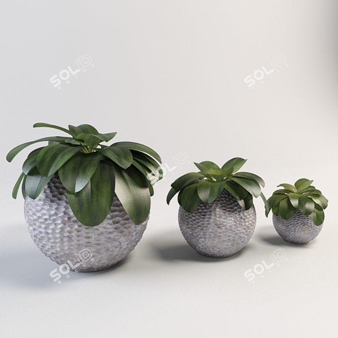 Spherical Plant Vase: Elegant & Large 3D model image 1